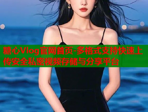糖心Vlog官网首页-多格式支持快速上传安全私密视频存储与分享平台  第1张